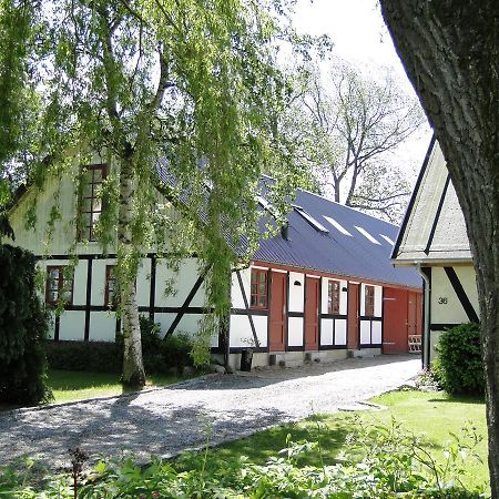 Dyssegaard B&B Skallerup Exteriér fotografie